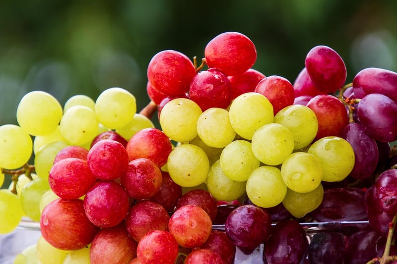 Farm Fresh Produce