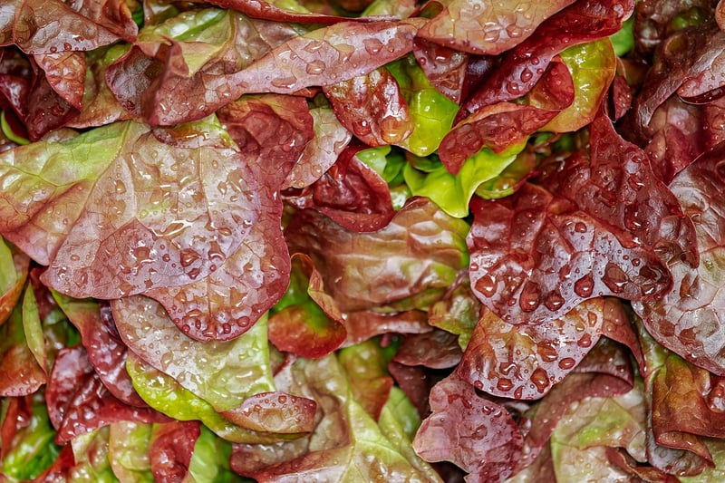 Healthy Ingredients